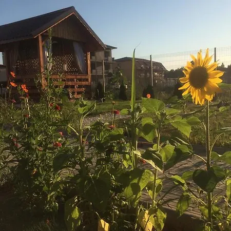 Casa vacanze Casuta De La Malul Marii Mamaia
