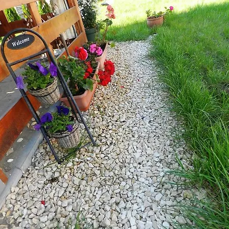 Casuta De La Malul Marii Mamaia